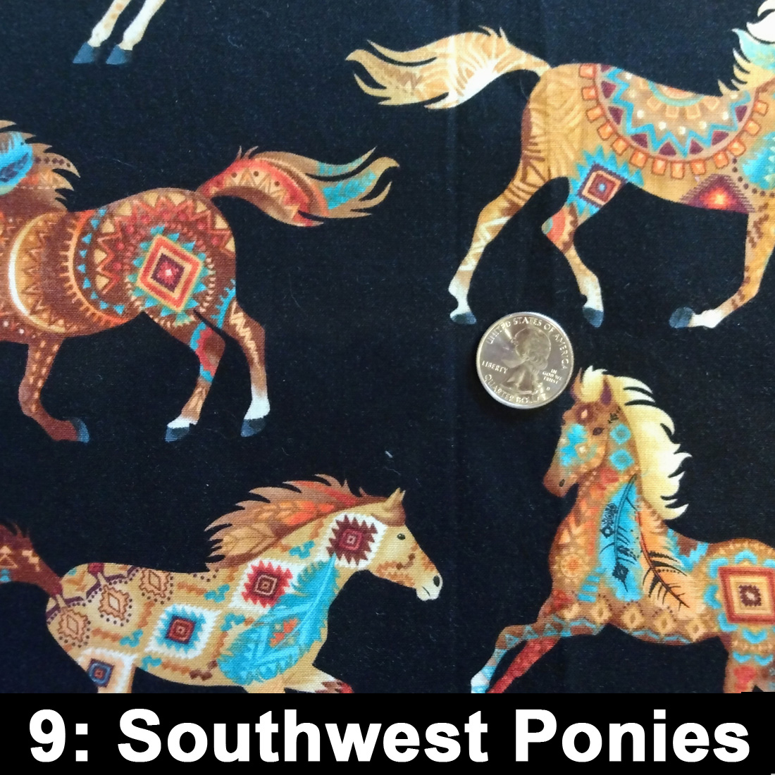 Southwest Ponies